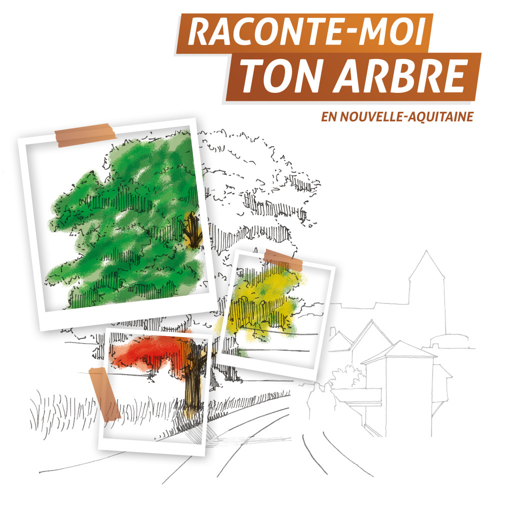 Exposition Raconte moi ton arbre à la BFM de Limoges CAUE 87